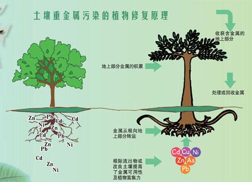 土壤改良与修复3D虚拟仿真实验软件