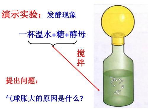 发酵罐及发酵实验虚拟仿真软件