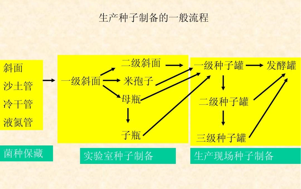 斜面种子制备3D虚拟仿真软件